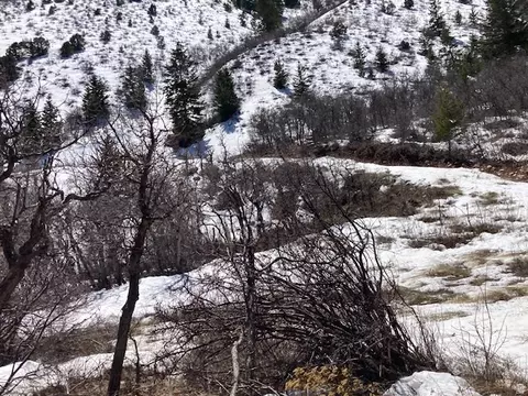 Undisclosed, Tabiona, UT 84072 photo 17