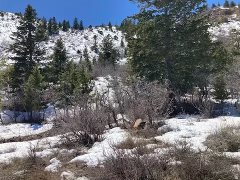 Undisclosed, Tabiona, UT 84072 photo 19