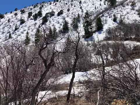 Undisclosed, Tabiona, UT 84072 photo 14
