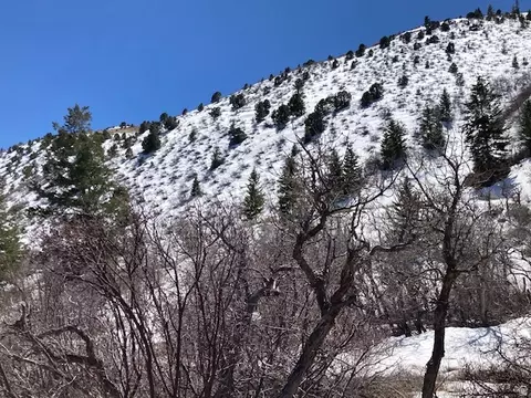Undisclosed, Tabiona, UT 84072 photo 18