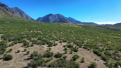 752 E 650 S, Santaquin, UT 84655 photo 7