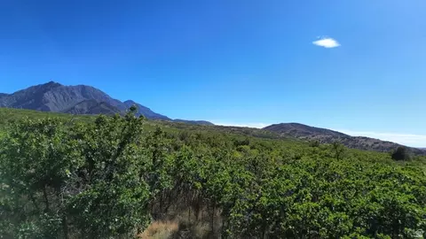 752 E 650 S, Santaquin, UT 84655 photo 9