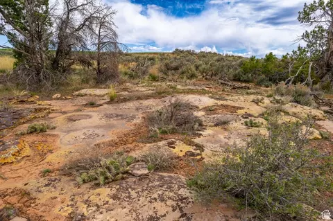 1 N Bug Pt, Monticello, UT 84535 photo 16