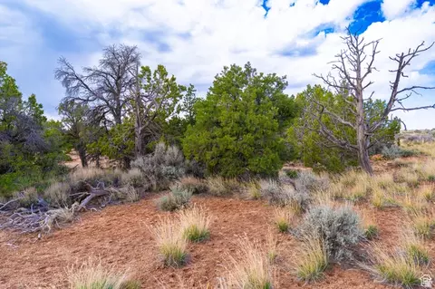 1 N Bug Pt, Monticello, UT 84535 photo 15