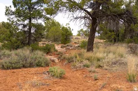 1 N Bug Pt, Monticello, UT 84535 photo 18
