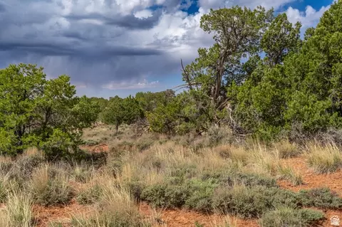 1 N Bug Pt, Monticello, UT 84535 photo 12
