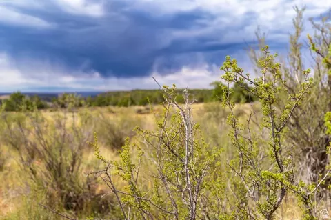 1 N Bug Pt, Monticello, UT 84535 photo 7