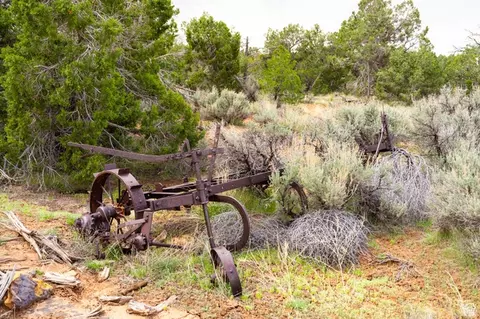 1 N Bug Pt, Monticello, UT 84535 photo 10
