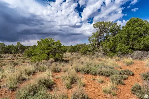 1 N Bug Pt, Monticello, UT 84535 photo 13