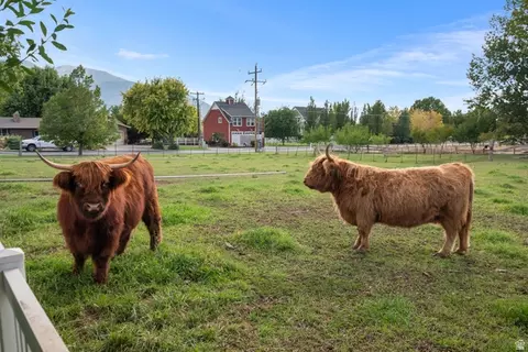 Other - 555 E 1600 S, Mapleton, UT 84664 photo 1 of 16
