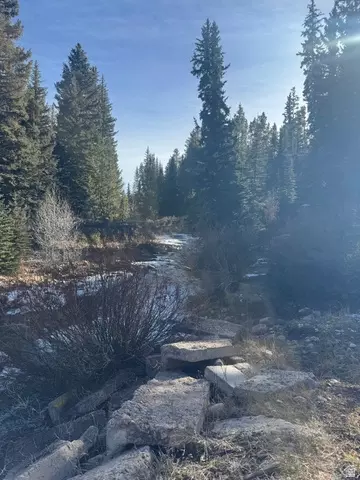 View/Area - 1663 Lancer Ln, Kamas, UT 84036 photo 10 of 11