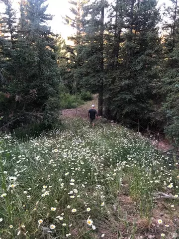 Other - 1663 Lancer Ln, Kamas, UT 84036 photo 9 of 46