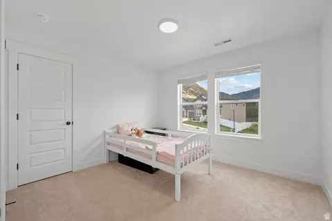 Other - 36 W Limber Pine Dr, Mapleton, UT 84664 photo 9 of 19