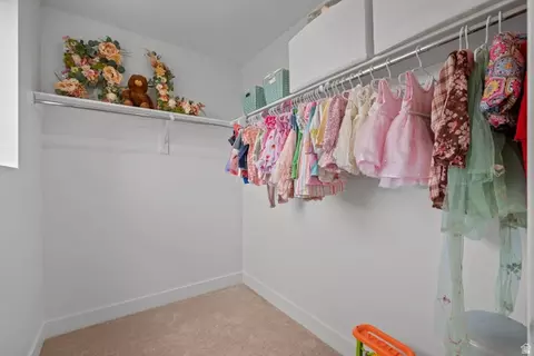 Other - 36 W Limber Pine Dr, Mapleton, UT 84664 photo 10 of 19