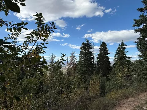 Other - Undisclosed, Mount Pleasant, UT 84647 photo 8 of 9