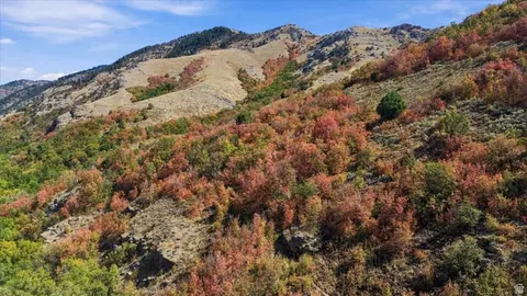 3000 E Canyon Rd, Smithfield, UT 84335 photo 7