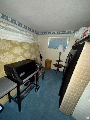 Other - 1052 Mount Tabby Dr, Tabiona, UT 84072 photo 14 of 33