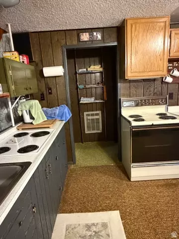 Kitchen - 1052 Mount Tabby Dr, Tabiona, UT 84072 photo 5 of 5