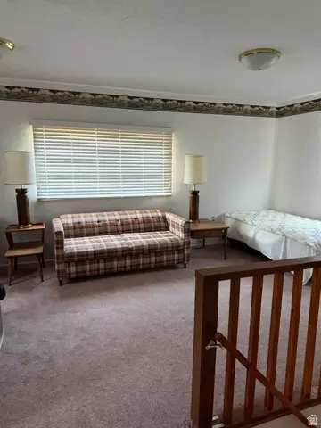 Other - 1052 Mount Tabby Dr, Tabiona, UT 84072 photo 21 of 33