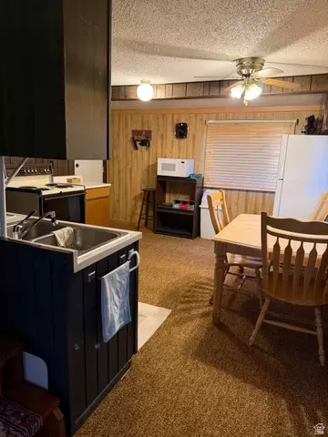 Other - 1052 Mount Tabby Dr, Tabiona, UT 84072 photo 6 of 33