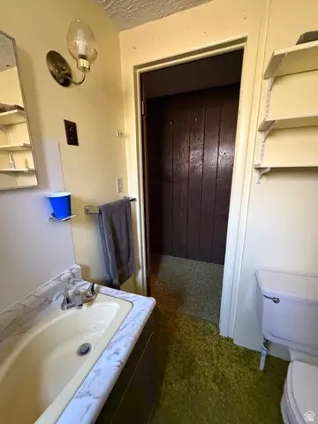 Bath - 1052 Mount Tabby Dr, Tabiona, UT 84072 photo 2 of 9