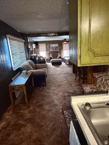Other - 1052 Mount Tabby Dr, Tabiona, UT 84072 photo 27 of 33