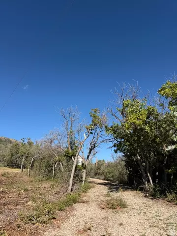Other - 1052 Mount Tabby Dr, Tabiona, UT 84072 photo 3 of 33