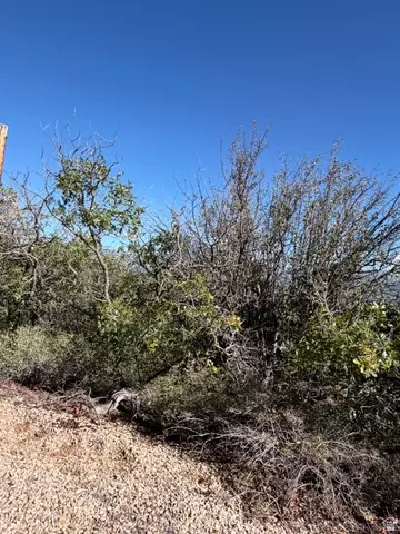 Other - 1052 Mount Tabby Dr, Tabiona, UT 84072 photo 33 of 33