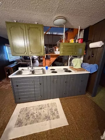 Kitchen - 1052 Mount Tabby Dr, Tabiona, UT 84072 photo 3 of 5
