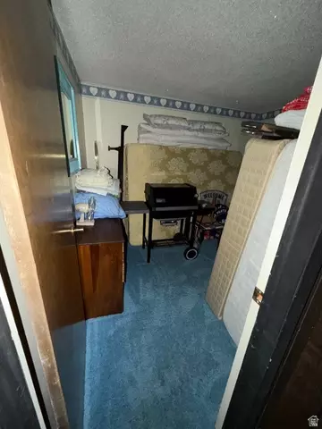 Other - 1052 Mount Tabby Dr, Tabiona, UT 84072 photo 13 of 33