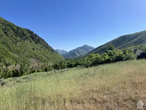 meadow dr, Springville, UT 84663 photo 6
