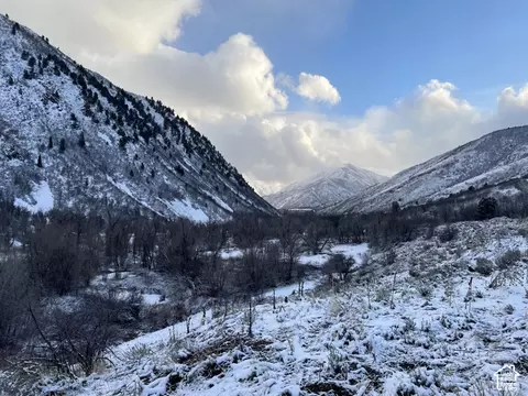 meadow dr, Springville, UT 84663 photo 10