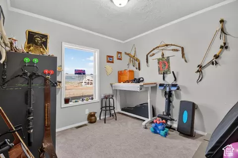 Other - 65 E 20250 N, Moroni, UT 84646 photo 9 of 22