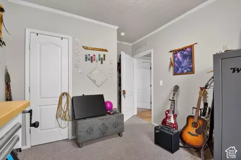 Other - 65 E 20250 N, Moroni, UT 84646 photo 10 of 22