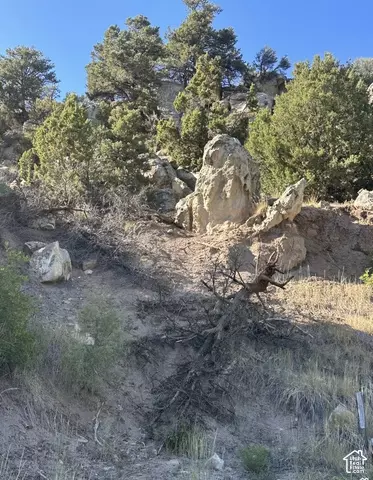 Undisclosed, Ephraim, UT 84627 photo 9