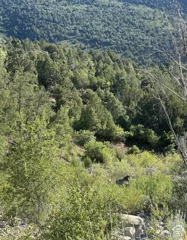 Undisclosed, Ephraim, UT 84627 photo 11