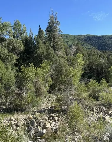 Undisclosed, Ephraim, UT 84627 photo 7