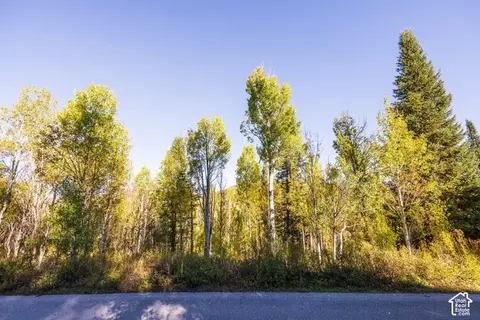 4635 Sugar Pine Dr #725, Oakley, UT 84055 photo 9