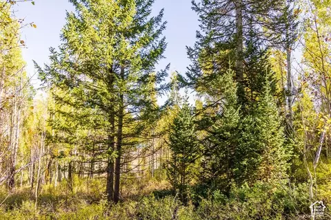 4635 Sugar Pine Dr #725, Oakley, UT 84055 photo 5