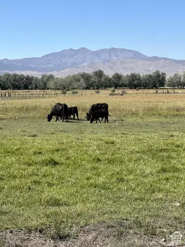Undisclosed, Goshen, UT 84633