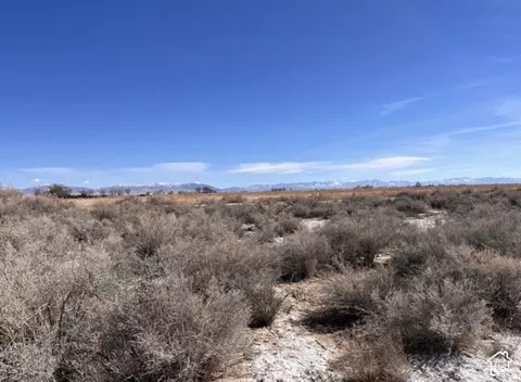 Undisclosed, Abraham, UT 84635 photo 5