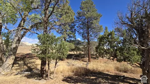 Undisclosed, Boulder, UT 84716 photo 5