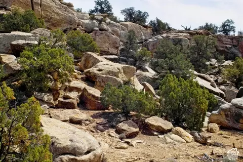 160 S Bridger Jack Trl #9, Moab, UT 84532 photo 13