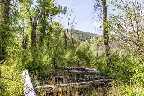 2600 E Weber Rd, Oakley, UT 84055 photo 23