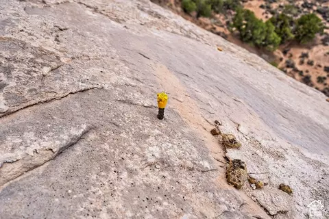 1 Jail Rock Rd, Moab, UT 84532 photo 29