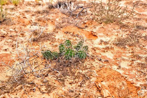 1 Jail Rock Rd, Moab, UT 84532 photo 24