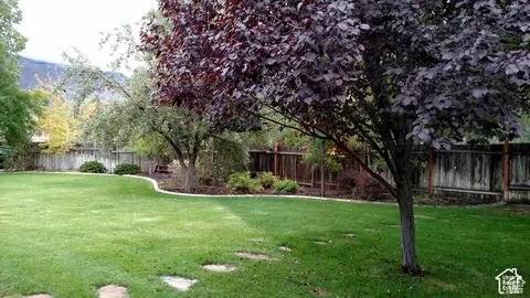 1360 S Carterville Rd, Orem, UT 84097 photo 5