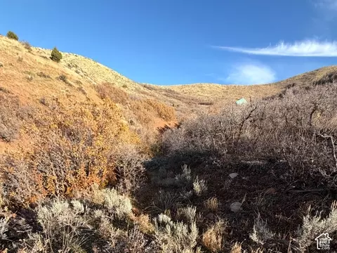 Undisclosed, Morgan, UT 84050 photo 8