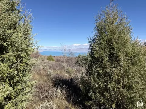 1361 Sculpin Loop #6, Garden City, UT 84028
