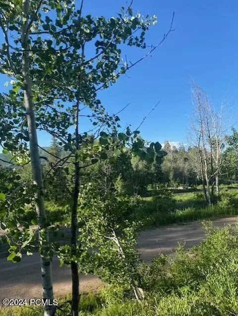 969 W Deep Forest Rd, Coalville, UT 84017 photo 1